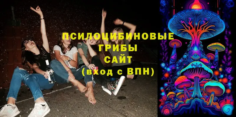 Псилоцибиновые грибы Magic Shrooms  Адыгейск 